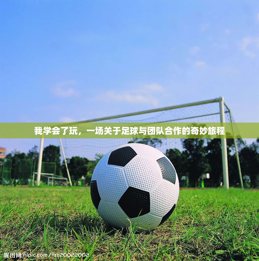 足球之旅，一場(chǎng)關(guān)于技巧、策略與團(tuán)隊(duì)合作的奇妙旅程