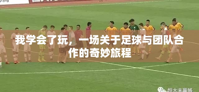 足球之旅，一場(chǎng)關(guān)于技巧、策略與團(tuán)隊(duì)合作的奇妙旅程