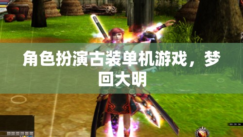 夢回大明，穿越時空的古裝角色扮演單機游戲之旅