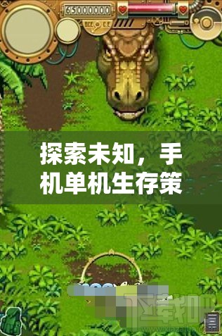 孤島余生，探索未知的生存策略手機單機游戲深度解析
