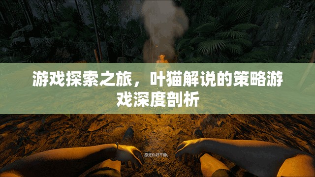葉貓深度剖析，策略游戲探索之旅  第2張