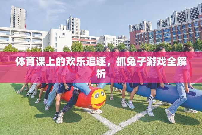 體育課上的歡樂追逐，抓兔子游戲全解析