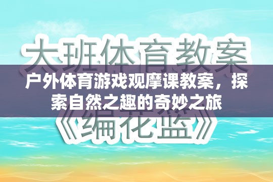 探索自然之趣，戶外體育游戲觀摩課教案的奇妙之旅
