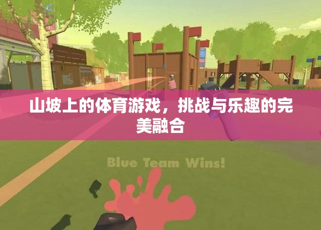 山坡上的挑戰(zhàn)與樂趣，完美融合的體育游戲體驗