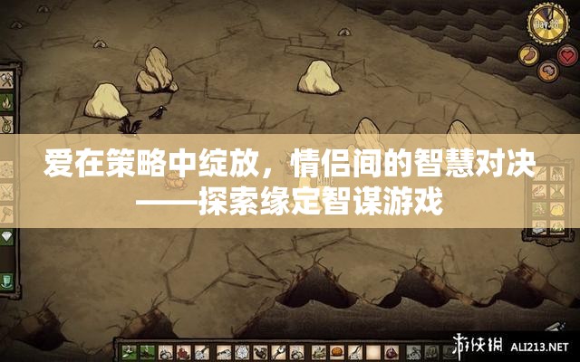 愛(ài)在策略中綻放，情侶間的智慧對(duì)決