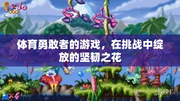挑戰(zhàn)與堅韌，體育中的勇敢者之花