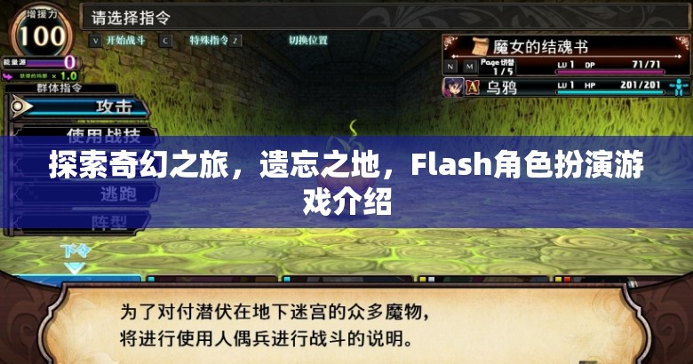 探索奇幻之旅，遺忘之地的Flash角色扮演游戲