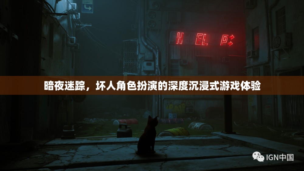 暗夜迷蹤，解鎖壞人角色扮演的深度沉浸式游戲體驗(yàn)  第3張