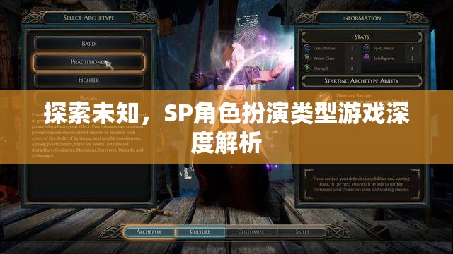 探索未知，SP角色扮演類型游戲深度解析
