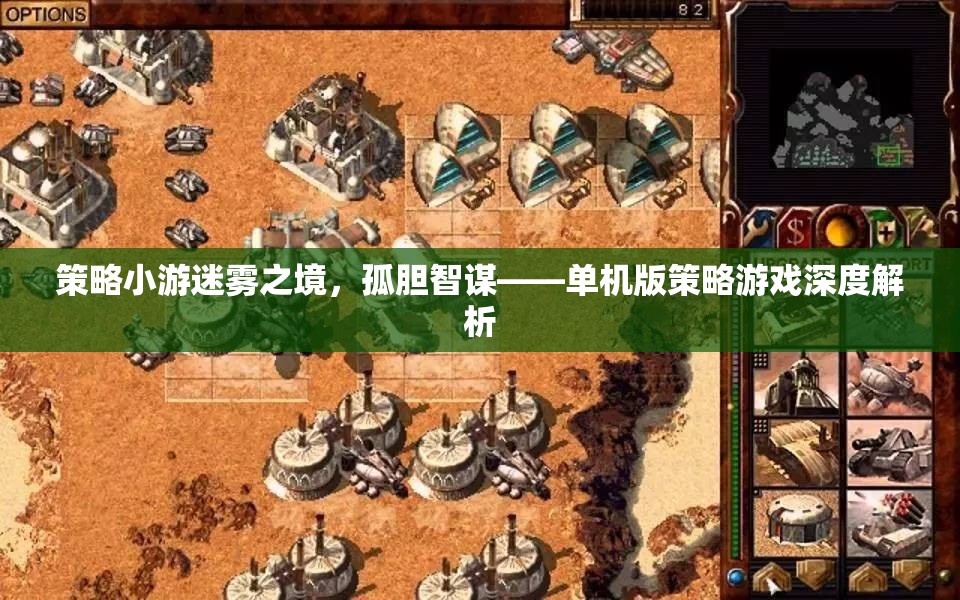迷霧之境，孤膽智謀——單機(jī)版策略游戲深度解析