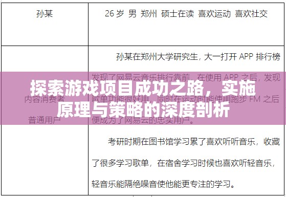 探索游戲項(xiàng)目成功之路，實(shí)施原理與策略的深度剖析
