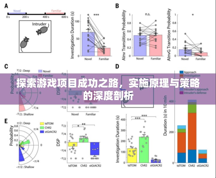 探索游戲項(xiàng)目成功之路，實(shí)施原理與策略的深度剖析