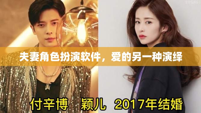 愛的新境界，夫妻角色扮演軟件的另類演繹