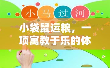小袋鼠運糧，一項寓教于樂的體育游戲教案