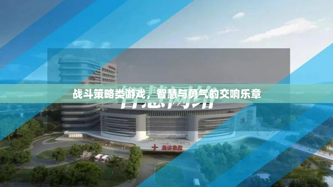 智勇交響，戰(zhàn)斗策略游戲的策略與勇氣之舞