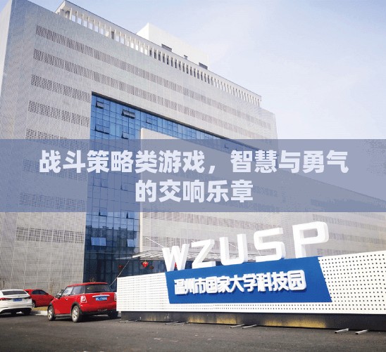 智勇交響，戰(zhàn)斗策略游戲的策略與勇氣之舞