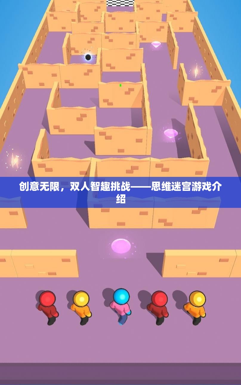 思維迷宮，雙人智趣挑戰(zhàn)的創(chuàng)意之旅