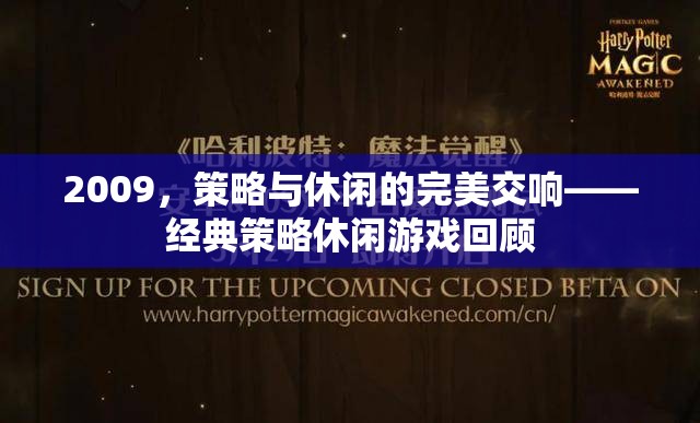 2009年，策略與休閑的完美交響——經(jīng)典策略休閑游戲回顧  第3張