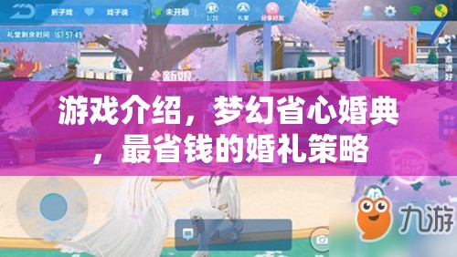 夢幻省心婚典，打造最經(jīng)濟實惠的婚禮策略  第1張
