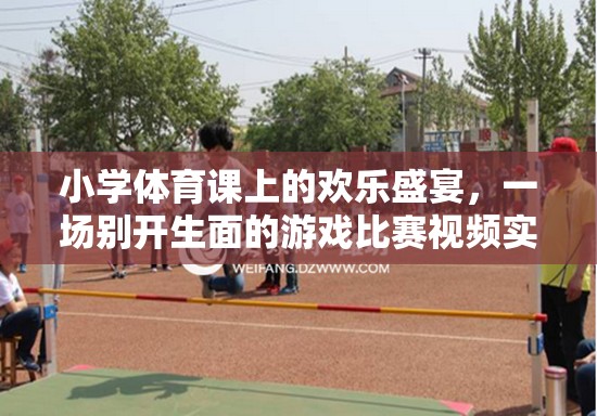 小學(xué)體育課堂，歡樂盛宴中的別樣游戲比賽實錄