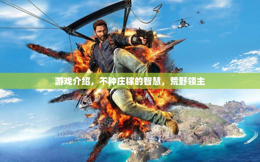 荒野領(lǐng)主，不種莊稼的智慧與游戲探索