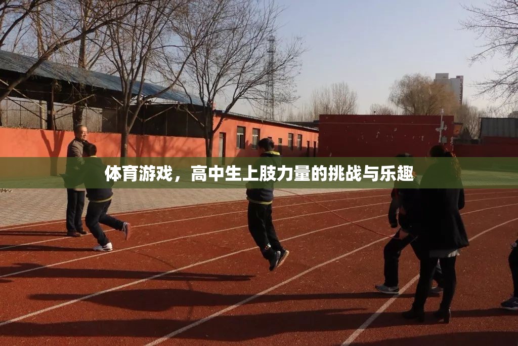 高中生上肢力量的挑戰(zhàn)與樂(lè)趣，探索體育游戲中的力量與樂(lè)趣  第1張