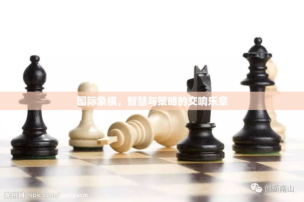 智慧與策略的交響，國際象棋的魅力