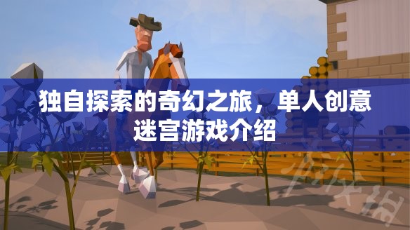 獨行者的奇幻迷宮，單人創(chuàng)意探險游戲揭秘