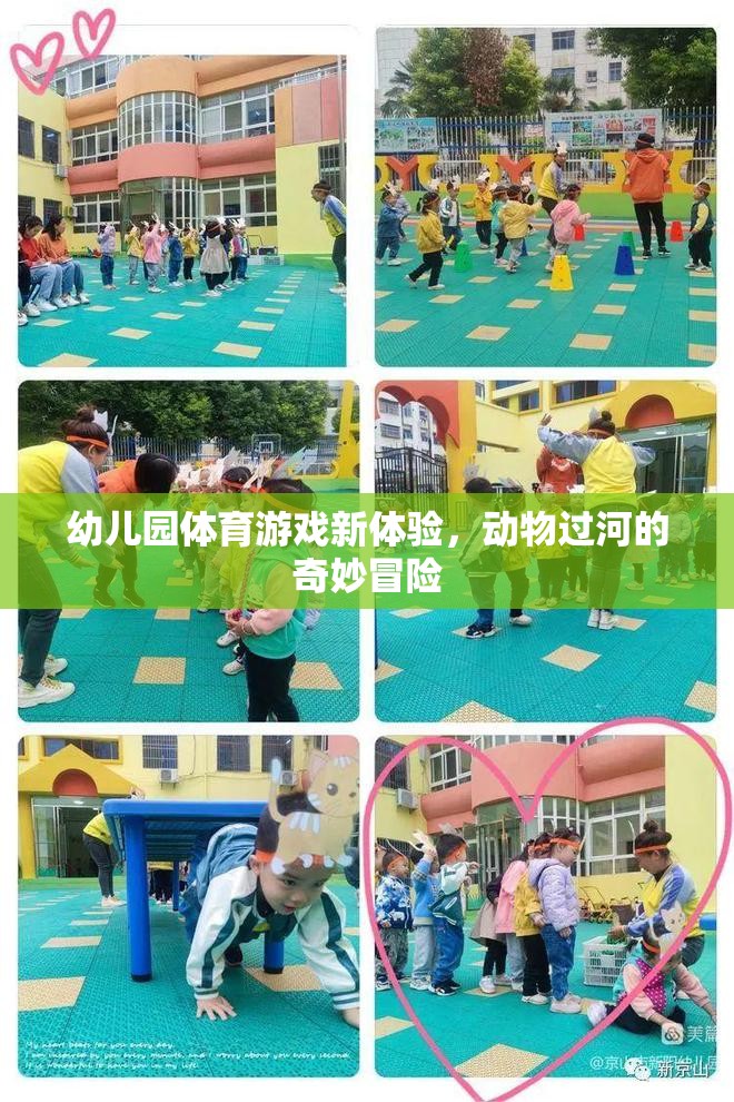 幼兒園體育游戲新體驗(yàn)，動(dòng)物過(guò)河的奇妙冒險(xiǎn)