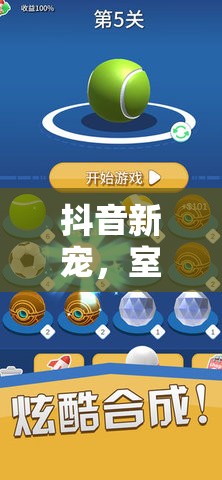 抖音新寵，室內(nèi)體育游戲的魅力大揭秘