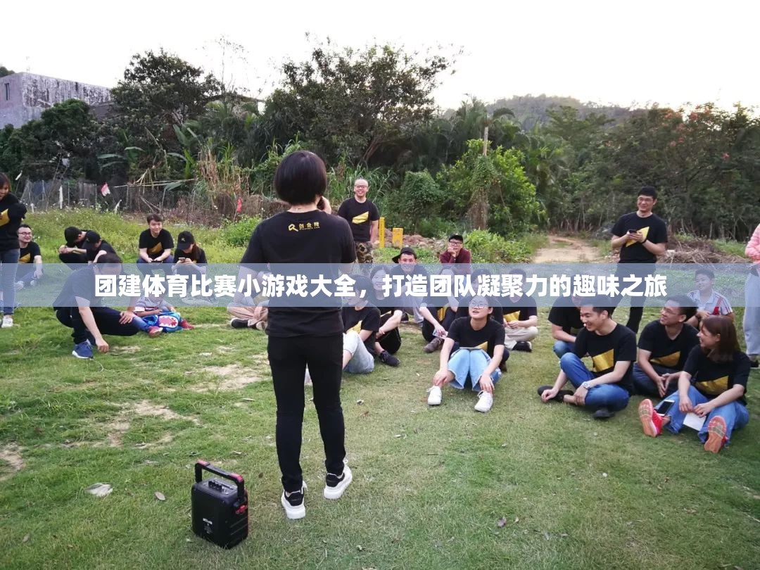 打造團(tuán)隊凝聚力的趣味之旅，團(tuán)建體育比賽小游戲大全