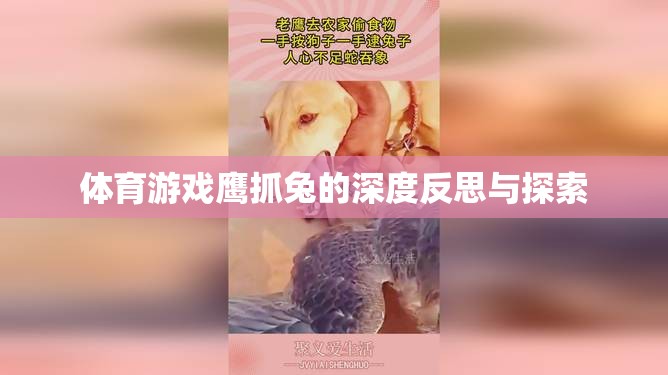 鷹抓兔，體育游戲中的策略、技巧與心理探索