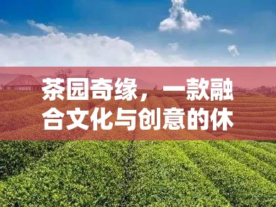 茶園奇緣，文化與創(chuàng)意的休閑游戲之旅