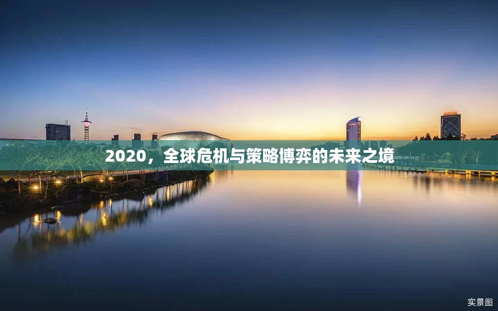 全球危機與策略博弈，2020年的未來之境