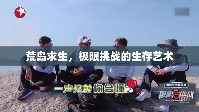 荒島求生，極限挑戰(zhàn)下的生存藝術(shù)