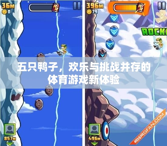 五鴨齊飛，歡樂與挑戰(zhàn)并存的體育游戲新體驗(yàn)  第2張