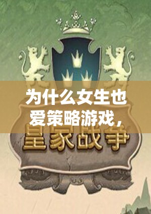女性玩家揭秘，智慧與策略的魅力——為何女性也愛策略游戲