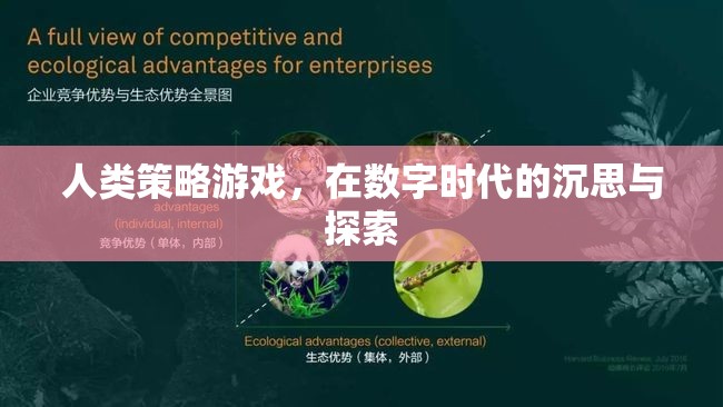 數(shù)字時(shí)代的人類策略游戲，沉思與探索