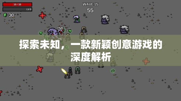 探索未知，一款新穎創(chuàng)意游戲的深度解析
