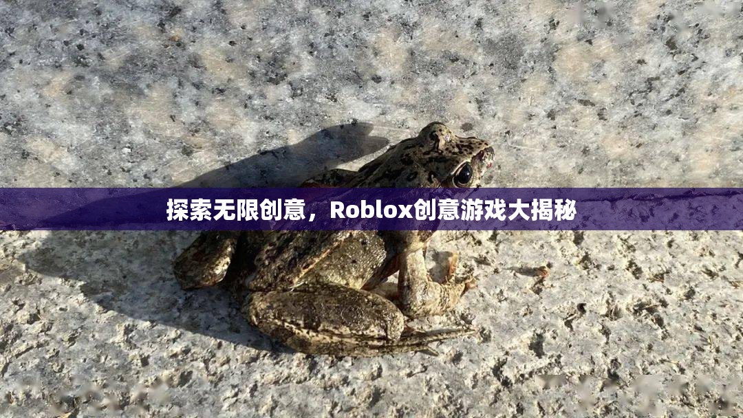 探索無限創(chuàng)意，Roblox創(chuàng)意游戲大揭秘