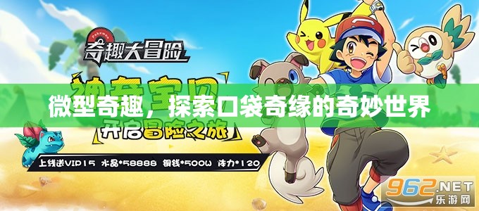 微型奇趣，探索口袋奇緣的奇妙世界
