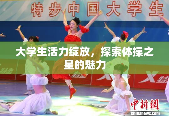 大學(xué)生活力綻放，探索體操之星的魅力