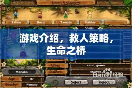 游戲介紹，救人策略，生命之橋