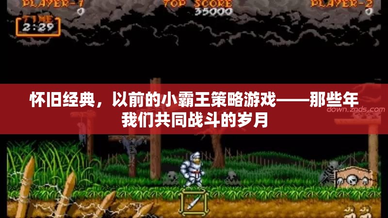 懷舊經(jīng)典，小霸王策略游戲——共同戰(zhàn)斗的歲月