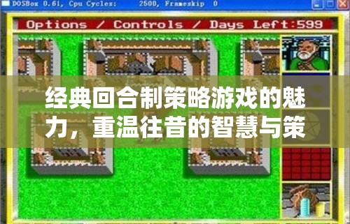 重溫經(jīng)典，回合制策略游戲的智慧與策略