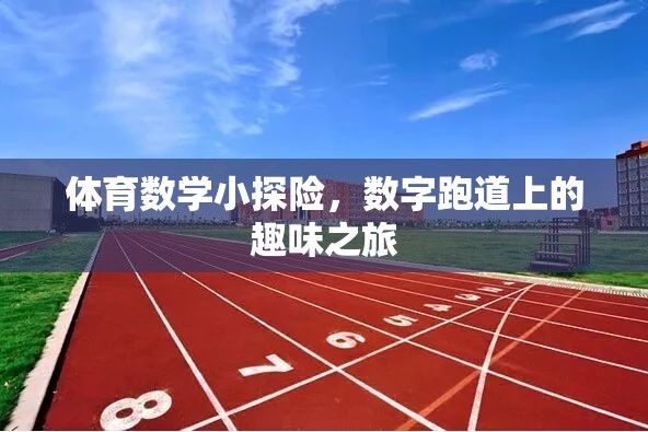 數(shù)字跑道上的體育數(shù)學(xué)小探險，一場趣味之旅