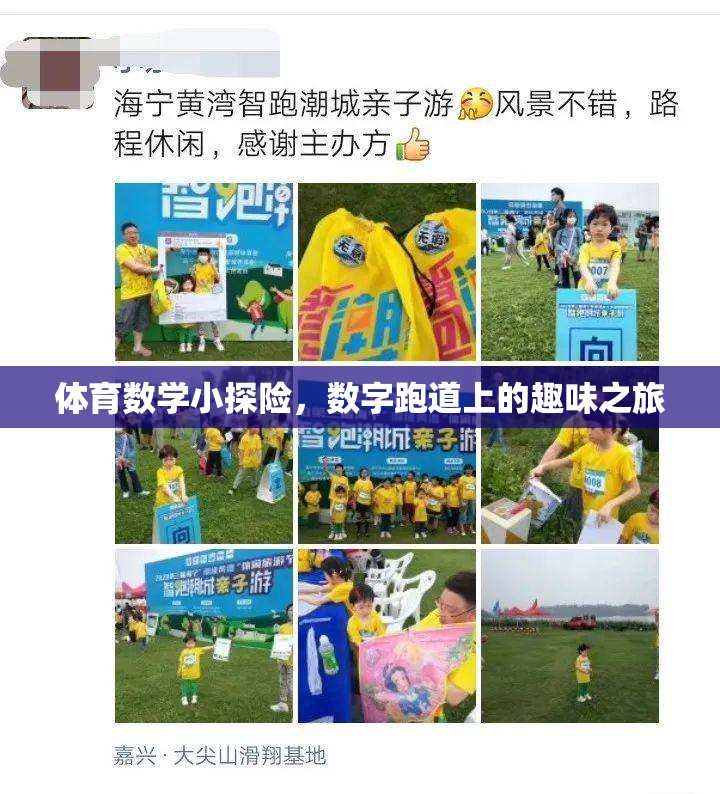 數(shù)字跑道上的體育數(shù)學(xué)小探險，一場趣味之旅