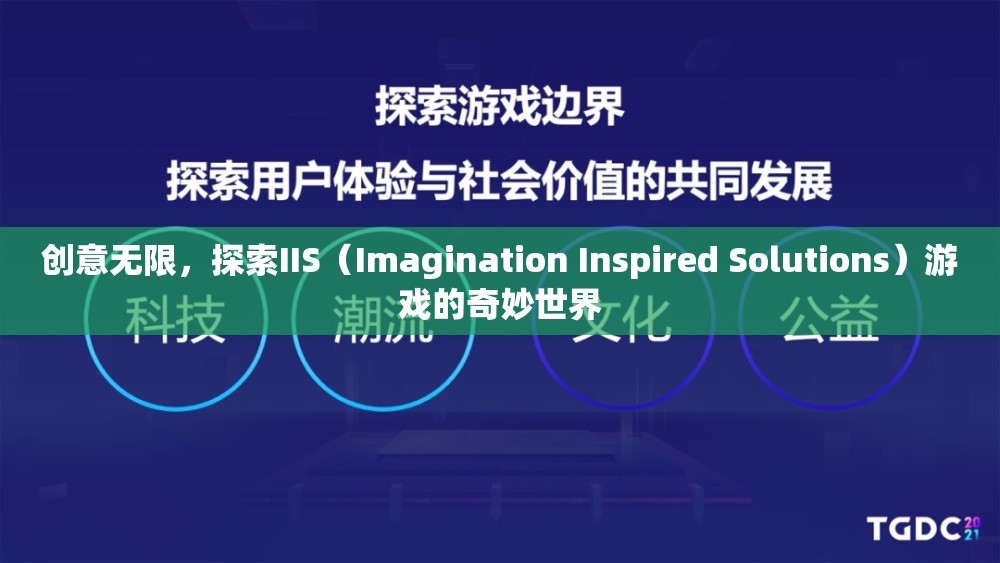 創(chuàng)意無限，探索IIS（Imagination Inspired Solutions）游戲的奇妙世界