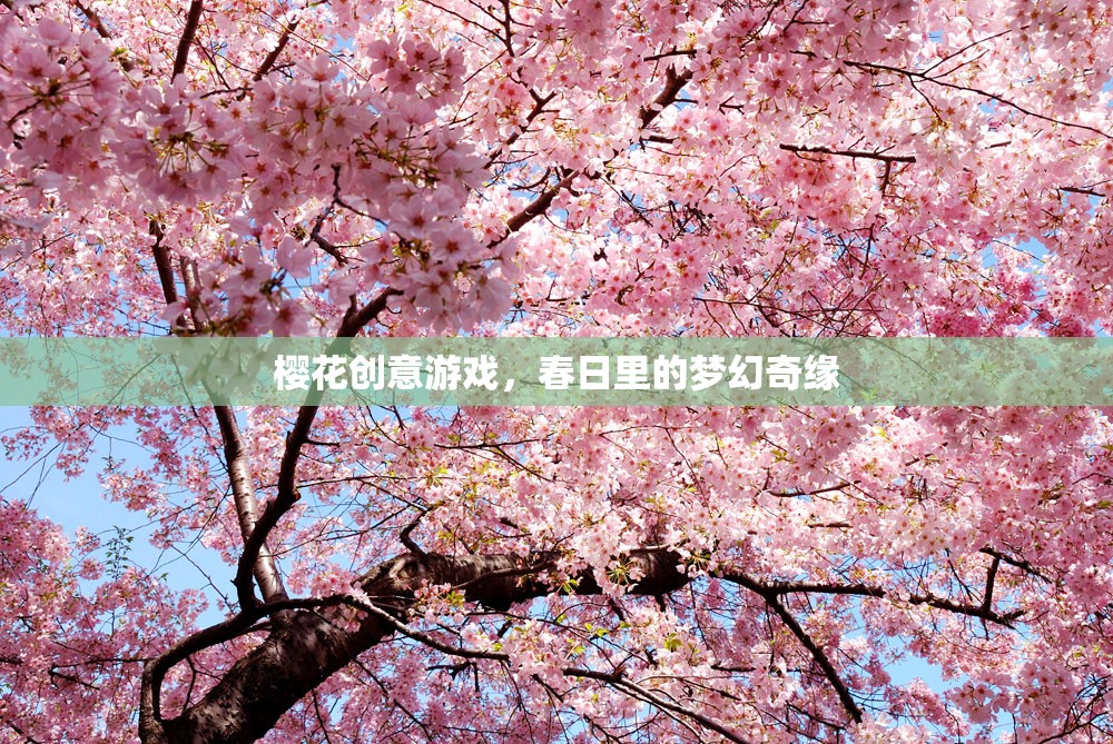 櫻花創(chuàng)意游戲，春日里的夢幻奇緣