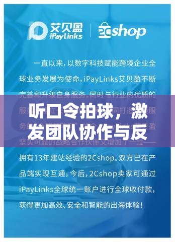 聽令拍球，提升團(tuán)隊(duì)協(xié)作與反應(yīng)能力的體育游戲教案